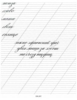 Каллиграфия. Прописи. Английский курсив