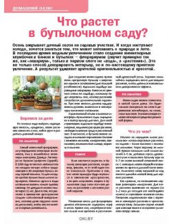 Как готовить сад к зиме 19 / 2018 Сад, огород- кормилец и лекарь