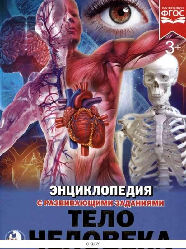 Купить Энциклопедия «Тело человека» (с развивающими заданиями) А4 в ...