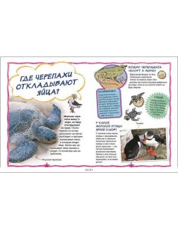 Моя первая энциклопедия вопросов и ответов
