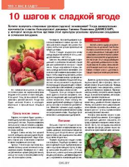 Правила для малины 21 / 2018 Сад, огород- кормилец и лекарь