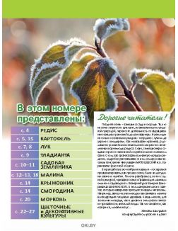Правила для малины 21 / 2018 Сад, огород- кормилец и лекарь