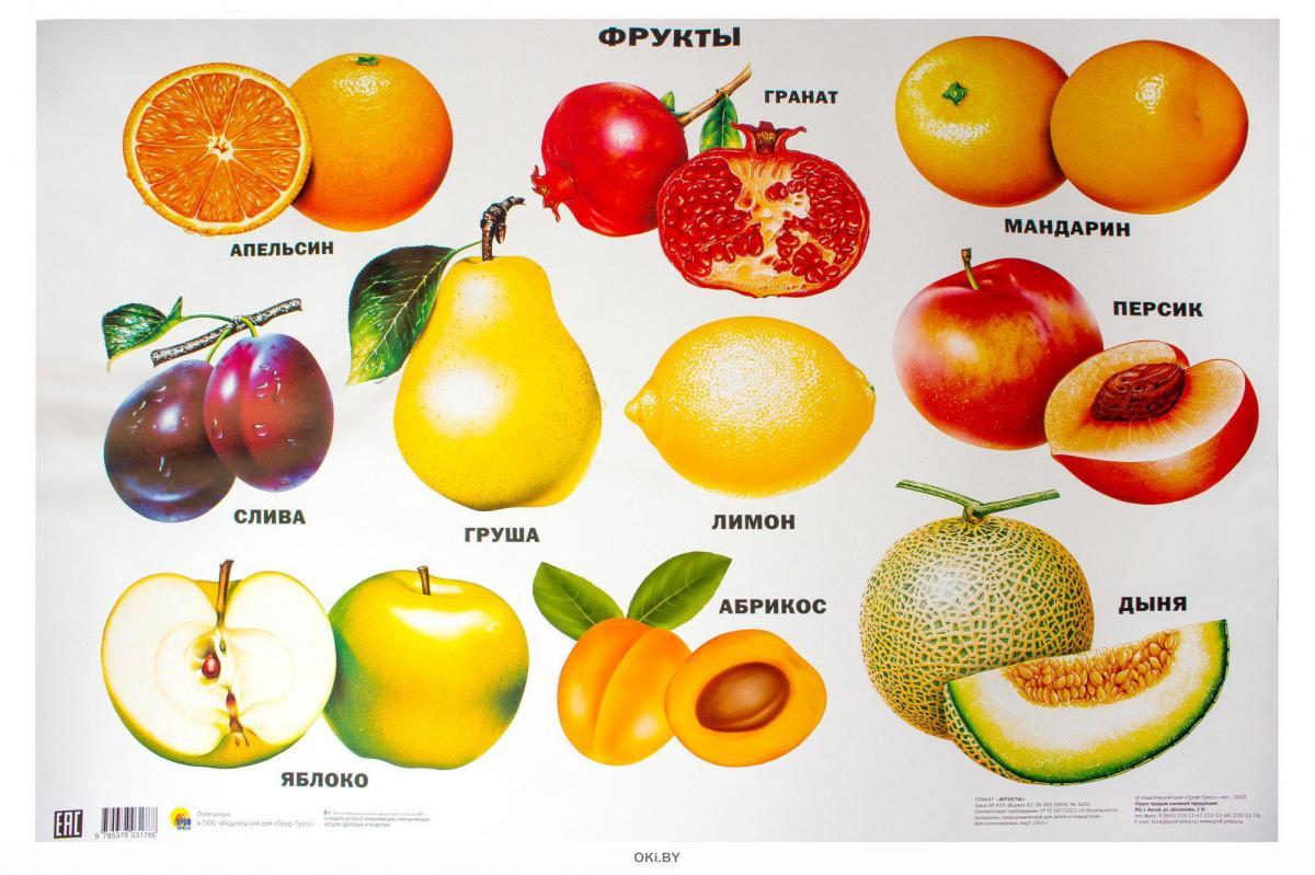 фрукты список названий и фото