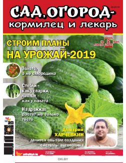 Строим планы на урожай-2019 2 / 2019 Сад, огород- кормилец и лекарь