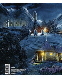 Гарри Поттер. Трехмерная карта Хогвартса и Хогсмида