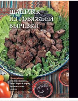 PRO шашлык. Непромокаемая книга