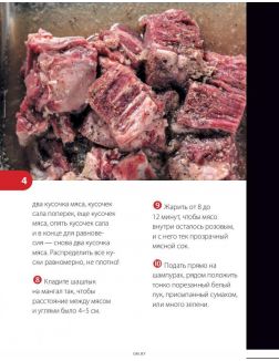 PRO шашлык. Непромокаемая книга
