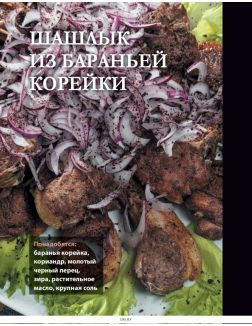 PRO шашлык. Непромокаемая книга