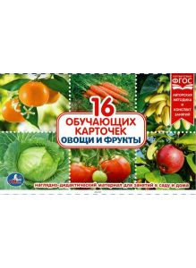 Обучающие карточки в папке «овощи и фрукты»