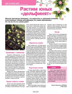 Рассада для земляничной поляны 4 / 2019 Сад, огород- кормилец и лекарь