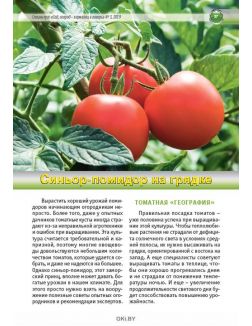 Огурцы и помидоры. Секреты богатых урожаев 3 / 2019 Спецвыпуск «Сад огород - кормилец и лекарь»