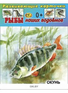 Карточки Рыбы