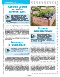 Чем и как кормить малину 8 / 2019 Сад, огород- кормилец и лекарь