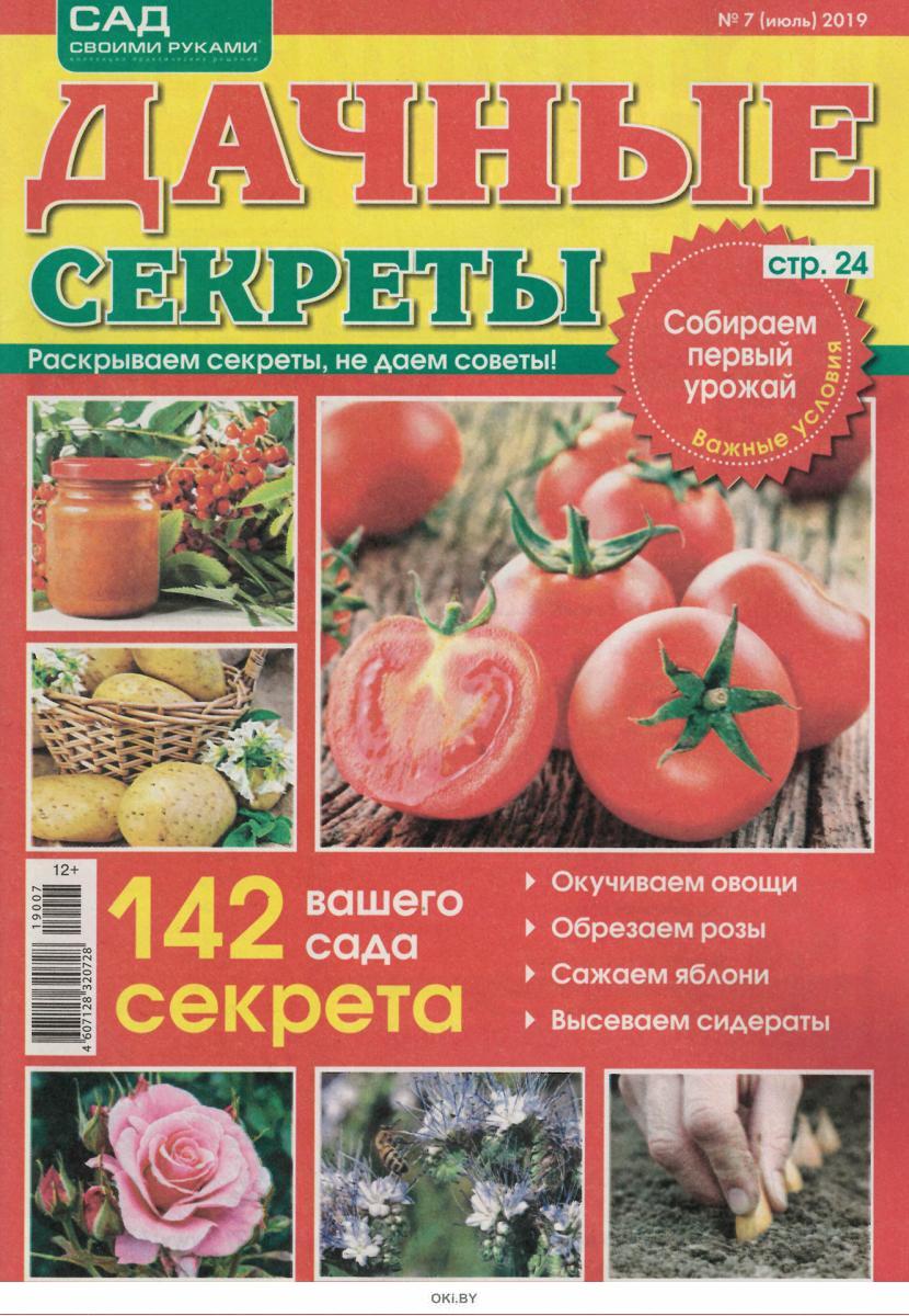 Журнал: САД СВОИМИ РУКАМИ. ДАЧНЫЕ СЕКРЕТЫ 7 / 2019 купить в Минске и ...