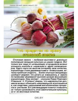 Картофель и корнеплоды. Повышаем урожайность 7 / 2019 Спецвыпуск «Сад огород - кормилец и лекарь»