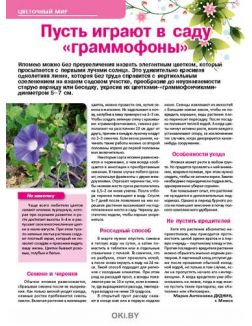 Морковь - не барышня 14 / 2019 Сад, огород- кормилец и лекарь