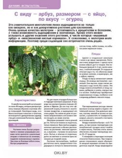 И зрелым томатам «няньки» не помешают 15 / 2019 Сад, огород- кормилец и лекарь