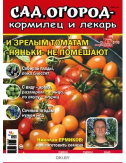 И зрелым томатам «няньки» не помешают 15 / 2019 Сад, огород- кормилец и лекарь