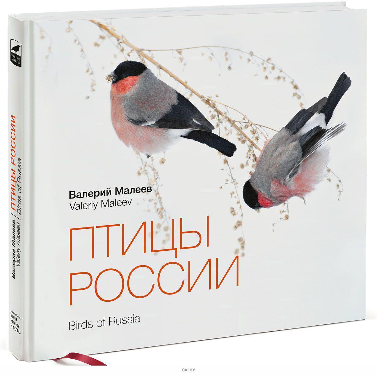 Птицы И Книги Фото