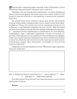 Биология, 9 класс. Тетрадь для лабораторных и практических работ