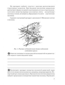 Биология, 9 класс. Тетрадь для лабораторных и практических работ