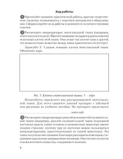 Биология, 9 класс. Тетрадь для лабораторных и практических работ