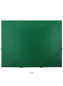 Папка на резинке А4 «Darvish» зеленая толщина 0,5мм