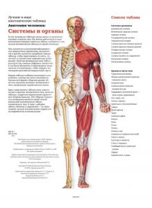 Большой атлас анатомии человека (eks)