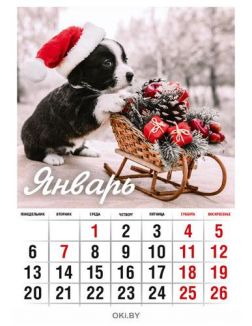 Календарь «Очаровательные щеночки» на 2020 год