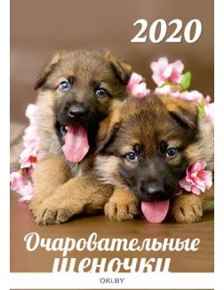 Календарь «Очаровательные щеночки» на 2020 год