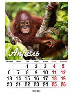 Календарь «В мире животных» на 2020 год