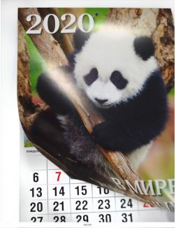 Календарь «В мире животных» на 2020 год