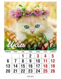 Календарь «Любимые котята» на 2020 год