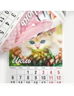Календарь «Любимые котята» на 2020 год
