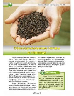 Осенью сажаем - весной собираем 10 / 2019 Спецвыпуск «Сад, огород – кормилец и лекарь»