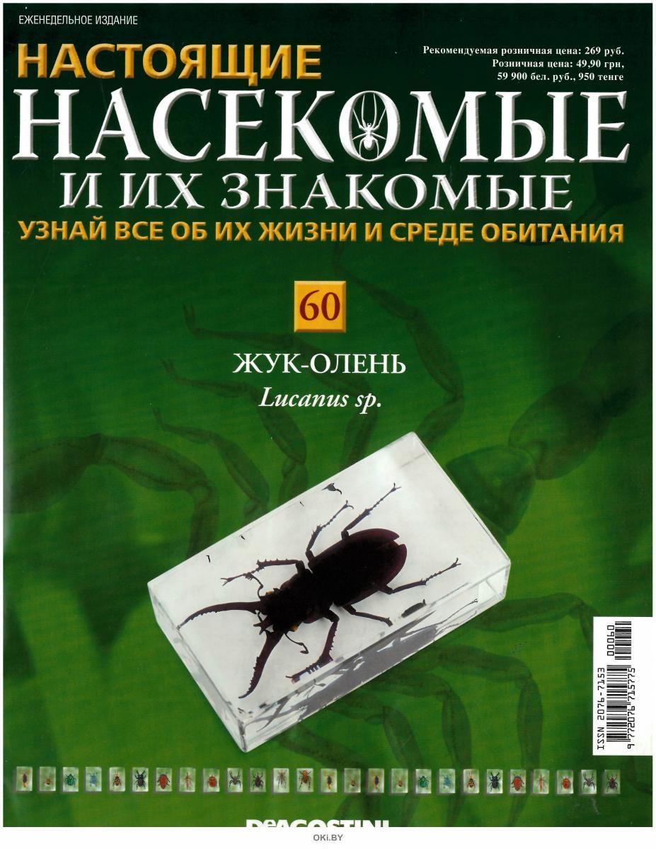 Форум насекомых отзывы. Насекомые и их знакомые. Насекомые и их знакомые 2014. Насекомые и их знакомые полная коллекция. Настоящие насекомые.