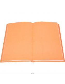Orange Note. Творческий блокнот с флуоресцентными страницами (твердый переплет) (eks)