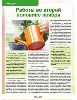 Берегите «сердечко» капусты 21 / 2019 Сад, огород- кормилец и лекарь