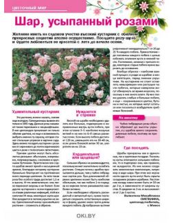 Малина на привязи 22 / 2019 Сад, огород- кормилец и лекарь