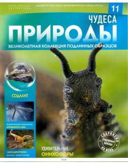 Чудеса природы № 11