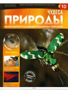 Чудеса природы № 10