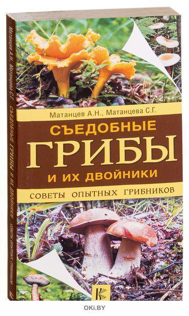 Книга грибов фото и описание