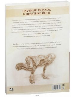 Инструктор йоги. Анатомия виньяса-флоу и асан, выполняемых стоя