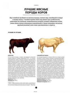 Мясо. Полное иллюстрированное руководство. Артюр Ле Кен