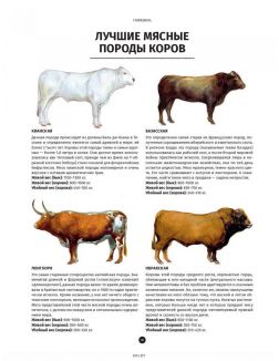 Мясо. Полное иллюстрированное руководство. Артюр Ле Кен