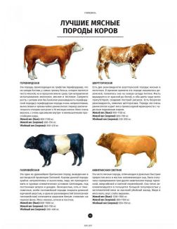 Мясо. Полное иллюстрированное руководство. Артюр Ле Кен