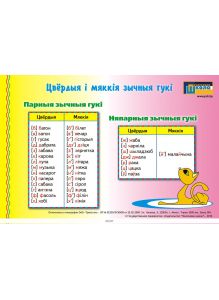 Звонкія і глухія зычныя гукі/цвёрдыя і мяккія зычныя гукі (двухсторонняя карточка)