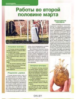 Чесноку - «полный пансион» 5 / 2020 Сад огород- кормилец и лекарь