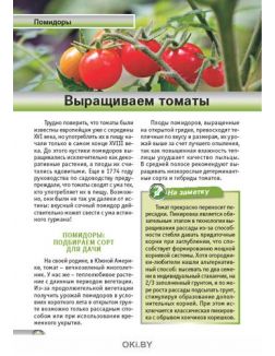 Огурцы и помидоры на любой вкус 3 / 2020 Спецвыпуск «Сад огород - кормилец и лекарь»