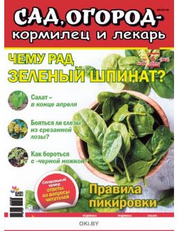 Чему рад зелены шпинат? 6 / 2020 Сад огород- кормилец и лекарь